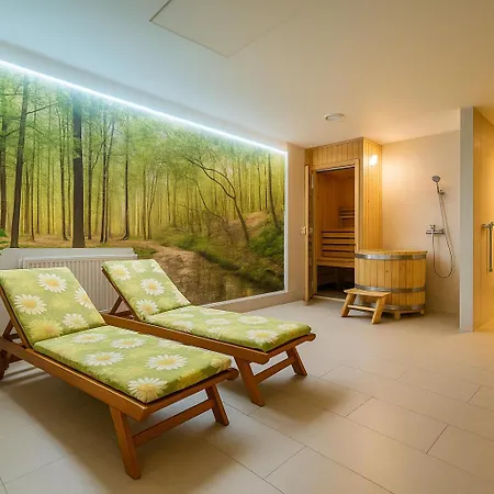 Górski Z Widokiem Czarna Góra - Sauna - Narciarnia - Parking